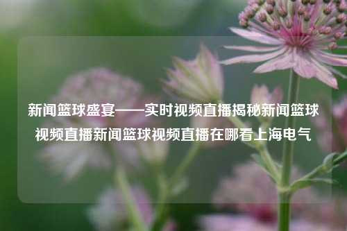 新闻篮球盛宴——实时视频直播揭秘新闻篮球视频直播新闻篮球视频直播在哪看上海电气