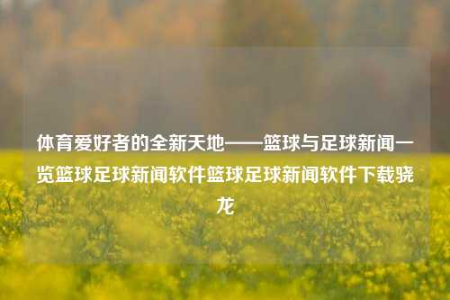 体育爱好者的全新天地——篮球与足球新闻一览篮球足球新闻软件篮球足球新闻软件下载骁龙