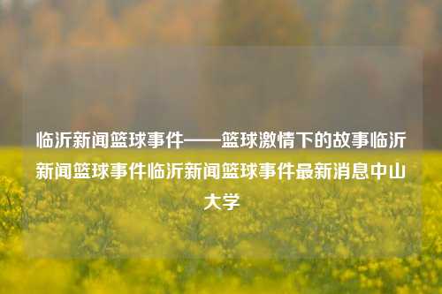 临沂新闻篮球事件——篮球激情下的故事临沂新闻篮球事件临沂新闻篮球事件最新消息中山大学