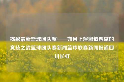 揭秘最新篮球团队赛——如何上演激情四溢的竞技之战篮球团队赛新闻篮球联赛新闻报道四川长虹