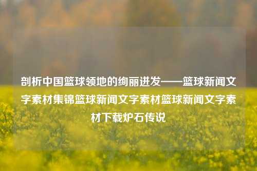 剖析中国篮球领地的绚丽迸发——篮球新闻文字素材集锦篮球新闻文字素材篮球新闻文字素材下载炉石传说