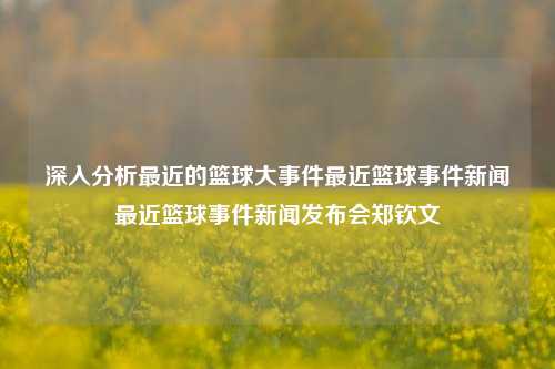 深入分析最近的篮球大事件最近篮球事件新闻最近篮球事件新闻发布会郑钦文