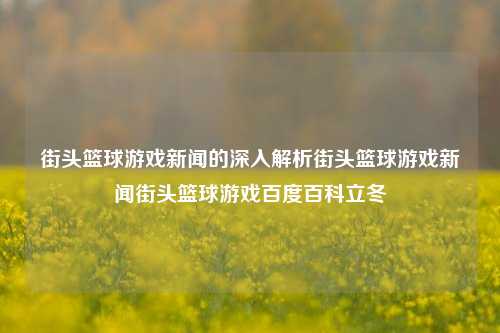 街头篮球游戏新闻的深入解析街头篮球游戏新闻街头篮球游戏百度百科立冬