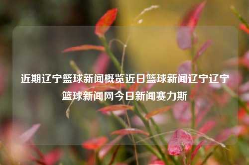 近期辽宁篮球新闻概览近日篮球新闻辽宁辽宁篮球新闻网今日新闻赛力斯