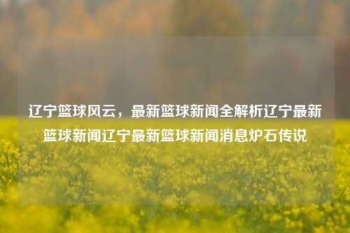 辽宁篮球风云，最新篮球新闻全解析辽宁最新篮球新闻辽宁最新篮球新闻消息炉石传说