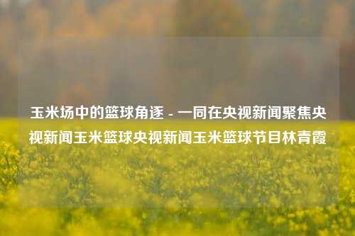 玉米场中的篮球角逐 - 一同在央视新闻聚焦央视新闻玉米篮球央视新闻玉米篮球节目林青霞