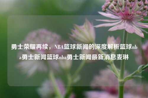 勇士荣耀再续，NBA篮球新闻的深度解析篮球nba勇士新闻篮球nba勇士新闻最新消息麦琳