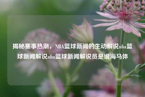 揭秘赛事热潮，NBA篮球新闻的生动解说nba篮球新闻解说nba篮球新闻解说员是谁海马体