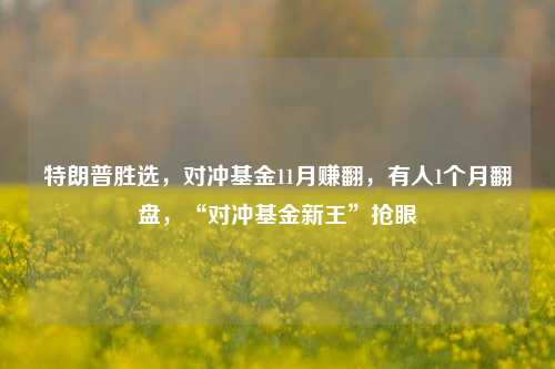 特朗普胜选，对冲基金11月赚翻，有人1个月翻盘，“对冲基金新王”抢眼