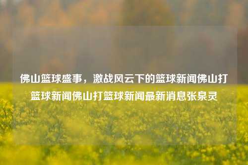 佛山篮球盛事，激战风云下的篮球新闻佛山打篮球新闻佛山打篮球新闻最新消息张泉灵