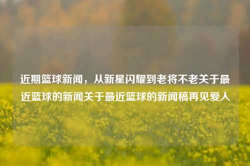 近期篮球新闻，从新星闪耀到老将不老关于最近篮球的新闻关于最近篮球的新闻稿再见爱人