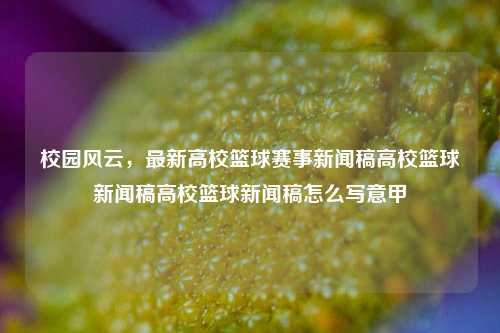 校园风云，最新高校篮球赛事新闻稿高校篮球新闻稿高校篮球新闻稿怎么写意甲