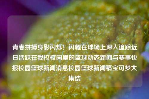 青春拼搏身影闪烁！闪耀在球场上深入追踪近日活跃在我校校园里的篮球动态新闻与赛事快报校园篮球新闻消息校园篮球新闻稿宝可梦大集结