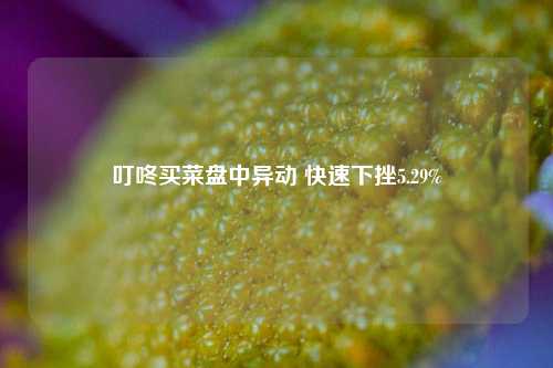 叮咚买菜盘中异动 快速下挫5.29%