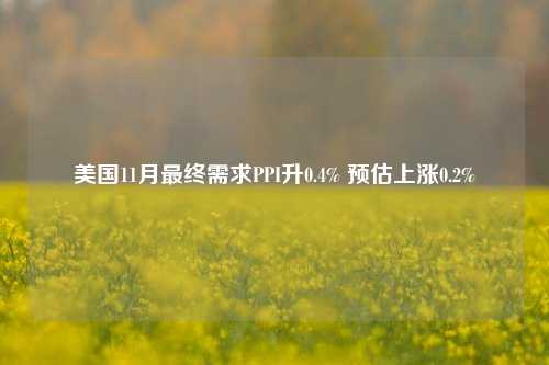 美国11月最终需求PPI升0.4% 预估上涨0.2%