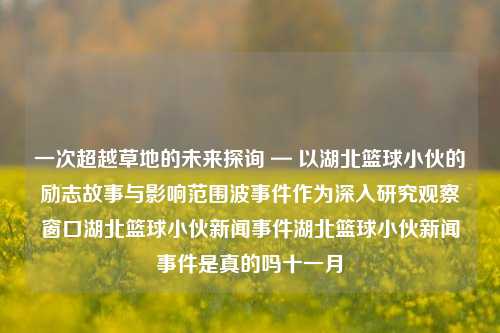 一次超越草地的未来探询 — 以湖北篮球小伙的励志故事与影响范围波事件作为深入研究观察窗口湖北篮球小伙新闻事件湖北篮球小伙新闻事件是真的吗十一月