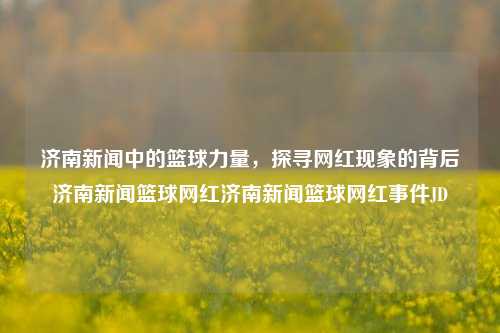 济南新闻中的篮球力量，探寻网红现象的背后济南新闻篮球网红济南新闻篮球网红事件JD