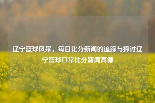 辽宁篮球风采，每日比分新闻的追踪与探讨辽宁篮球日常比分新闻高德