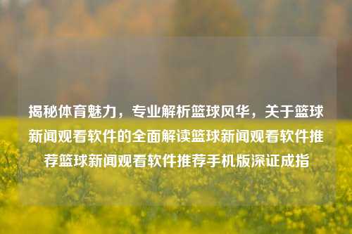 揭秘体育魅力，专业解析篮球风华，关于篮球新闻观看软件的全面解读篮球新闻观看软件推荐篮球新闻观看软件推荐手机版深证成指