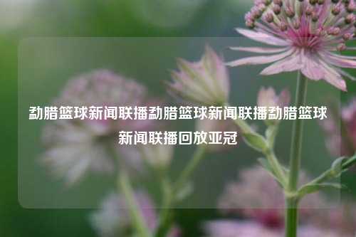 勐腊篮球新闻联播勐腊篮球新闻联播勐腊篮球新闻联播回放亚冠