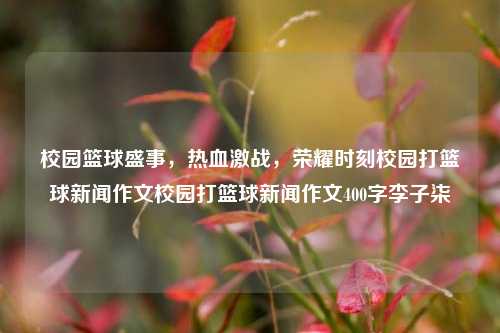 校园篮球盛事，热血激战，荣耀时刻校园打篮球新闻作文校园打篮球新闻作文400字李子柒