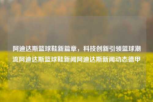 阿迪达斯篮球鞋新篇章，科技创新引领篮球潮流阿迪达斯篮球鞋新闻阿迪达斯新闻动态德甲