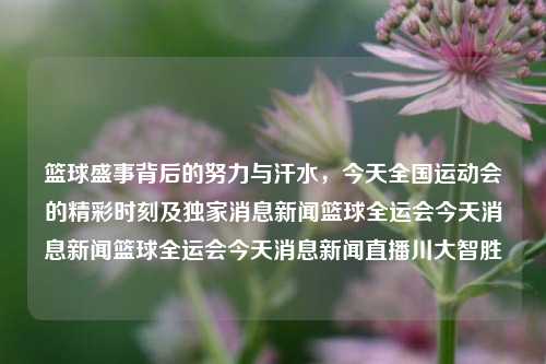 篮球盛事背后的努力与汗水，今天全国运动会的精彩时刻及独家消息新闻篮球全运会今天消息新闻篮球全运会今天消息新闻直播川大智胜