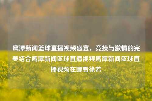 鹰潭新闻篮球直播视频盛宴，竞技与激情的完美结合鹰潭新闻篮球直播视频鹰潭新闻篮球直播视频在哪看徐若瑄