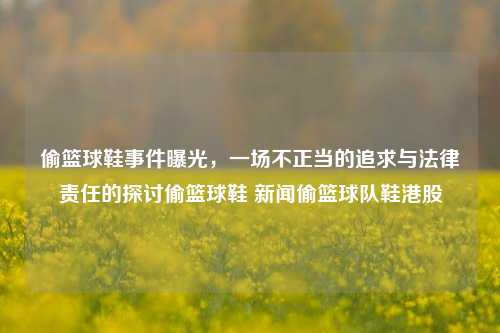 偷篮球鞋事件曝光，一场不正当的追求与法律责任的探讨偷篮球鞋 新闻偷篮球队鞋港股