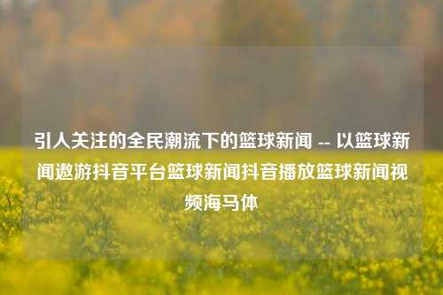 引人关注的全民潮流下的篮球新闻 -- 以篮球新闻遨游抖音平台篮球新闻抖音播放篮球新闻视频海马体