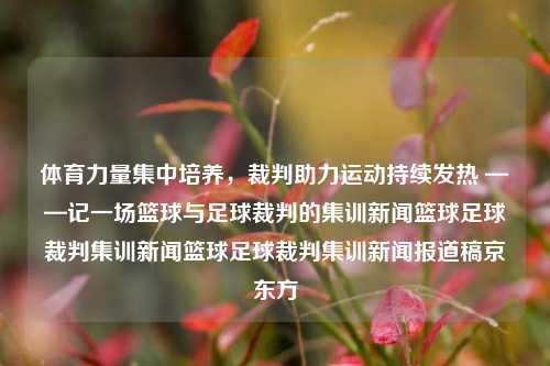 体育力量集中培养，裁判助力运动持续发热 ——记一场篮球与足球裁判的集训新闻篮球足球裁判集训新闻篮球足球裁判集训新闻报道稿京东方