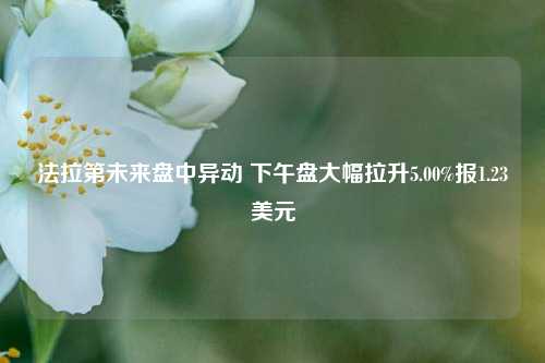 法拉第未来盘中异动 下午盘大幅拉升5.00%报1.23美元