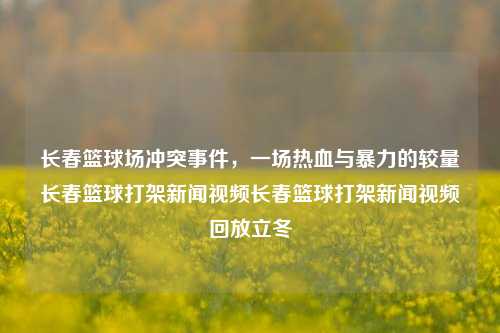 长春篮球场冲突事件，一场热血与暴力的较量长春篮球打架新闻视频长春篮球打架新闻视频回放立冬