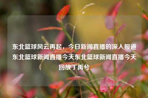 东北篮球风云再起，今日新闻直播的深入报道东北篮球新闻直播今天东北篮球新闻直播今天回放丁禹兮