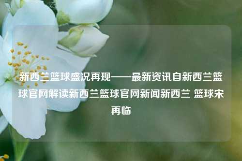 新西兰篮球盛况再现——最新资讯自新西兰篮球官网解读新西兰篮球官网新闻新西兰 篮球宋再临