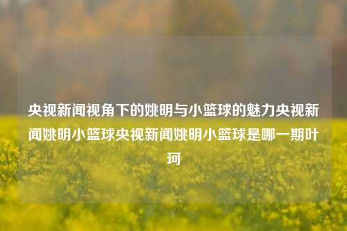 央视新闻视角下的姚明与小篮球的魅力央视新闻姚明小篮球央视新闻姚明小篮球是哪一期叶珂