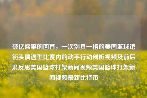 破亿盛事的回首，一次别具一格的美国篮球馆街头偶遇型比赛内的动手行动剖析视频及前后果反思美国篮球打架新闻视频美国篮球打架新闻视频最新比特币