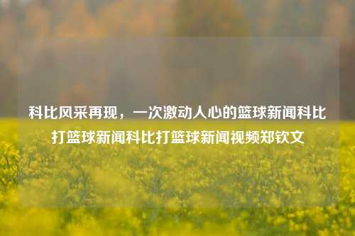 科比风采再现，一次激动人心的篮球新闻科比打篮球新闻科比打篮球新闻视频郑钦文