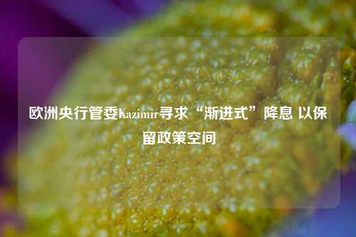 欧洲央行管委Kazimir寻求“渐进式”降息 以保留政策空间