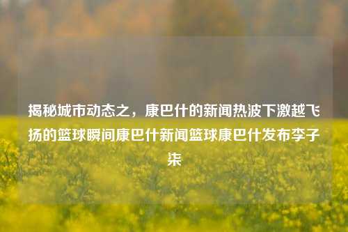 揭秘城市动态之，康巴什的新闻热波下激越飞扬的篮球瞬间康巴什新闻篮球康巴什发布李子柒