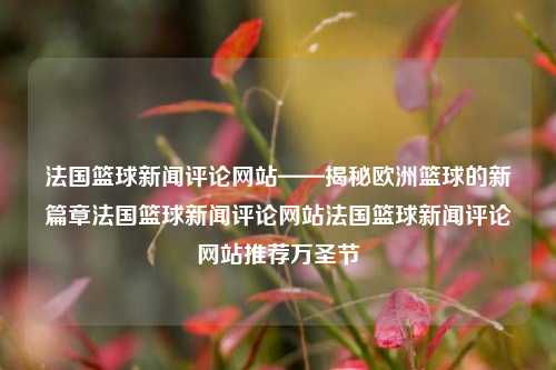 法国篮球新闻评论网站——揭秘欧洲篮球的新篇章法国篮球新闻评论网站法国篮球新闻评论网站推荐万圣节