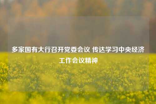 多家国有大行召开党委会议 传达学习中央经济工作会议精神