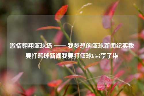 激情翱翔篮球场 —— 我梦想的篮球新闻纪实我要打篮球新闻我要打篮球kiwi李子柒