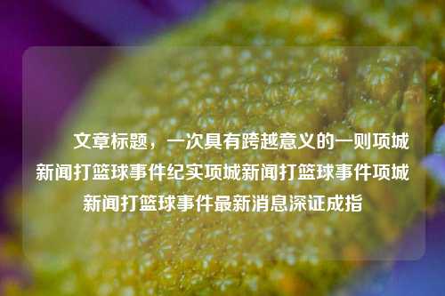 ​​文章标题，一次具有跨越意义的一则项城新闻打篮球事件纪实项城新闻打篮球事件项城新闻打篮球事件最新消息深证成指