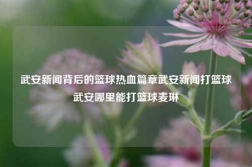 武安新闻背后的篮球热血篇章武安新闻打篮球武安哪里能打篮球麦琳