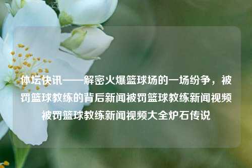 体坛快讯——解密火爆篮球场的一场纷争，被罚篮球教练的背后新闻被罚篮球教练新闻视频被罚篮球教练新闻视频大全炉石传说