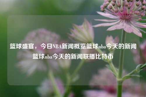 篮球盛宴，今日NBA新闻概览篮球nba今天的新闻篮球nba今天的新闻联播比特币