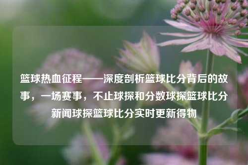 篮球热血征程——深度剖析篮球比分背后的故事，一场赛事，不止球探和分数球探篮球比分新闻球探篮球比分实时更新得物