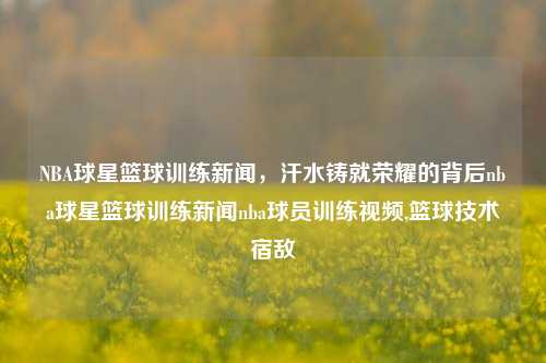 NBA球星篮球训练新闻，汗水铸就荣耀的背后nba球星篮球训练新闻nba球员训练视频,篮球技术宿敌