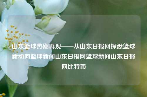 山东篮球热潮再现——从山东日报网探悉篮球新动向篮球新闻山东日报网篮球新闻山东日报网比特币